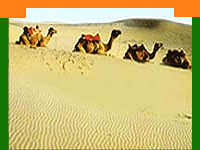 India adventure tour,adventure tour india,indian adventure travel guide,Indian adventure holiday tour,Indian adventure tour operators,adventure tour in India,water sport adventure,safari tours,khajuraho tours,adventure of animals,great adventure vacation,wild adventure tour,adventure travel trip,wild life safari,adventure tourist guide,trekking holiday