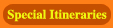 Special Itineraries for india