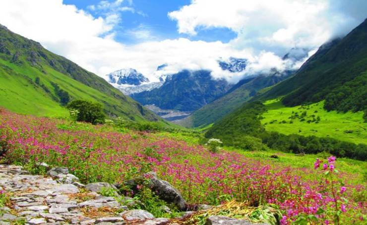 Valley Of Flowers Wiki In Hindi Best Flower Site