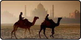 Indian Destination Guide , Destination of India , indian Destinations. get all the information on Indian destination or destination of india through tourmyindia.com.