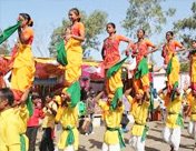 Dangs Darbar Festival