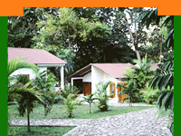 Wildlife Resort India,India Jungle Resort,Indian Wildlife Resorts,Jungle Resort Packages,Resorts in Jungle India,Luxury Jungle Resorts,wildlife lodges in india, kanha national park, jungle lodges, hotels in jungle, wildlife resorts of india