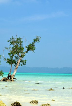 Beaches in Andaman Nicobar