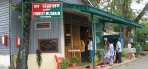 Forest Museum, Andaman
