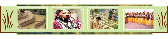 Arunachal Pradesh tour operators, Arunachal Pradesh travel guide,Arunachal pradesh India tourism,Arunachal Pradesh tour and travel guide,tourist attraction arunachal pradesh,Indian states travel agent