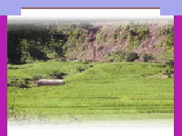 Nagaland travel guide,Nagaland tourism,Indian tour operators,travel guide Nagaland,tourist attraction,Nagaland travel agent, India,Nagaland travel guide,Nagaland travel tour packages,Nagaland tourism information