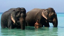 Port Blair with Havelock Island Beach Tour