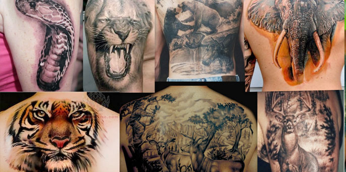 While some people want an animal tattoo that celebrates their respect for  nature and wildlife The Lion King offers inspiration and  Instagram