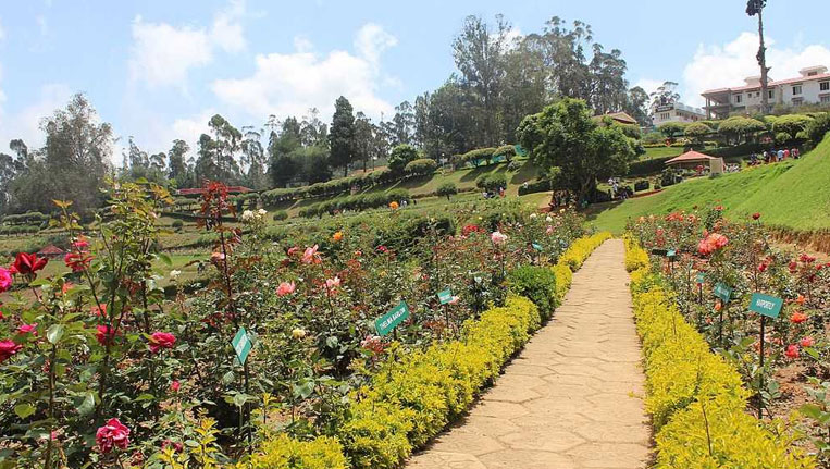 second day in ooty