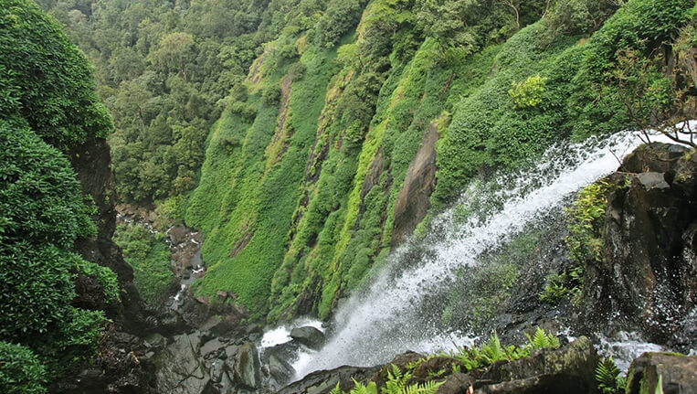 onake, Agumbe