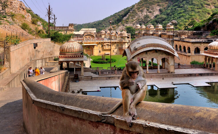 Galta Ji Temple