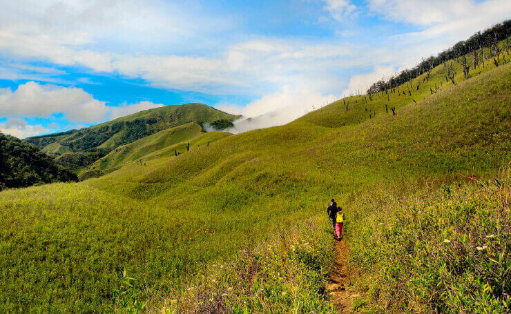 Dzukou Valley Nagaland