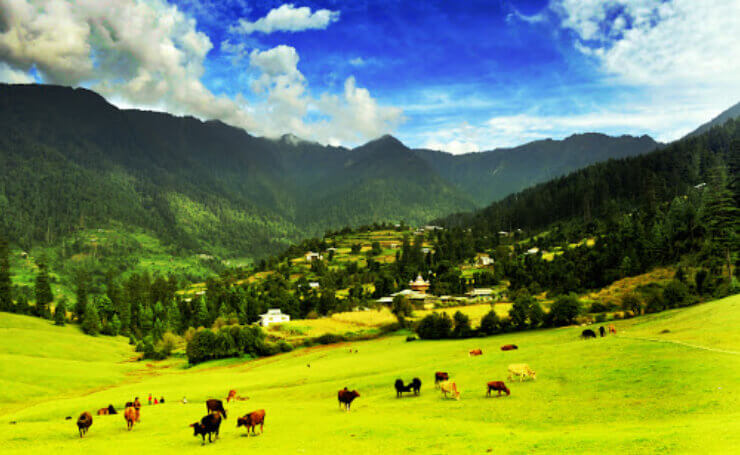 Sainj Valley Himachal