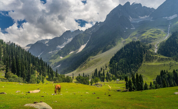 740px x 455px - 12 Best Tourist Destinations in Jammu & Kashmir | Tourist Places