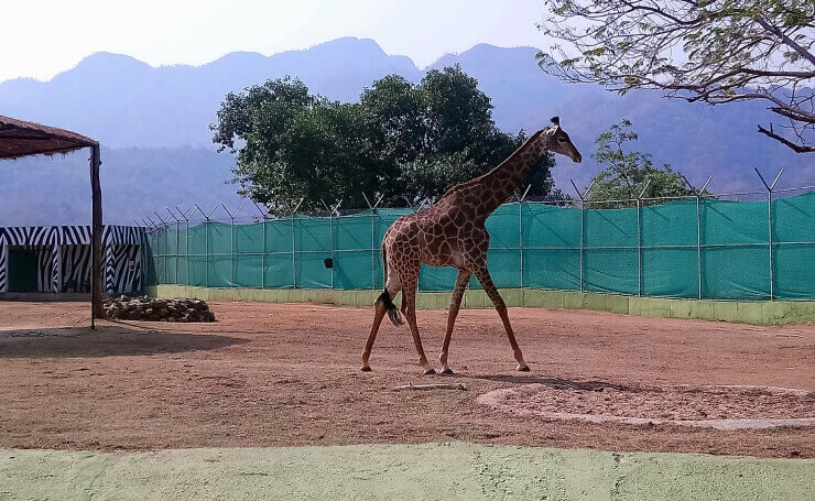 Sardar Patel Zoological Park