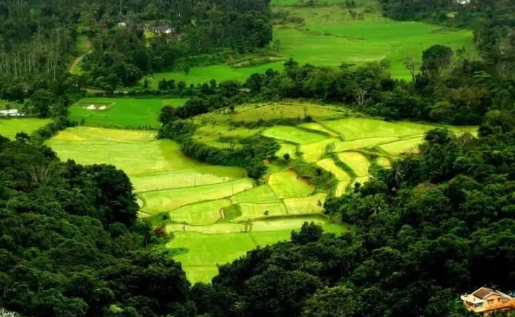 Coorg Karnataka