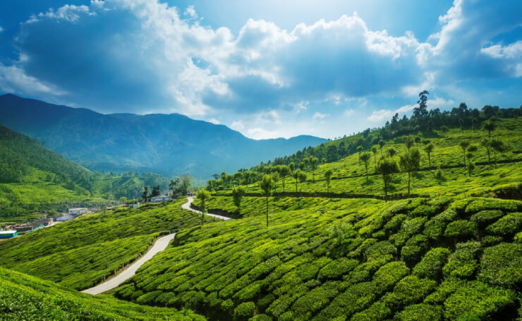 Munnar Kerala