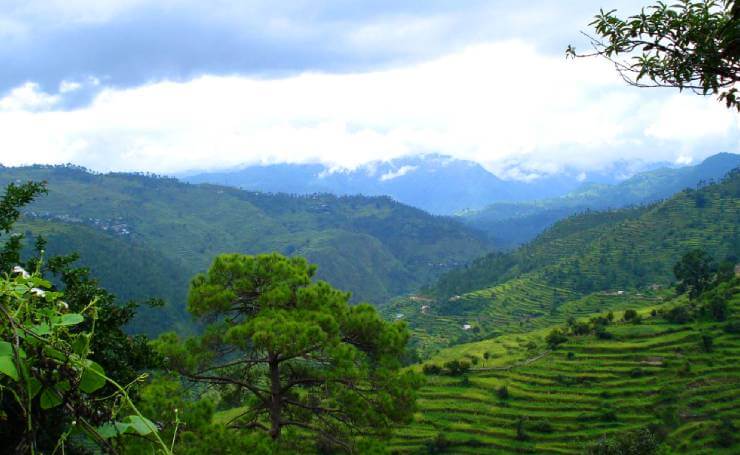 Ranikhet