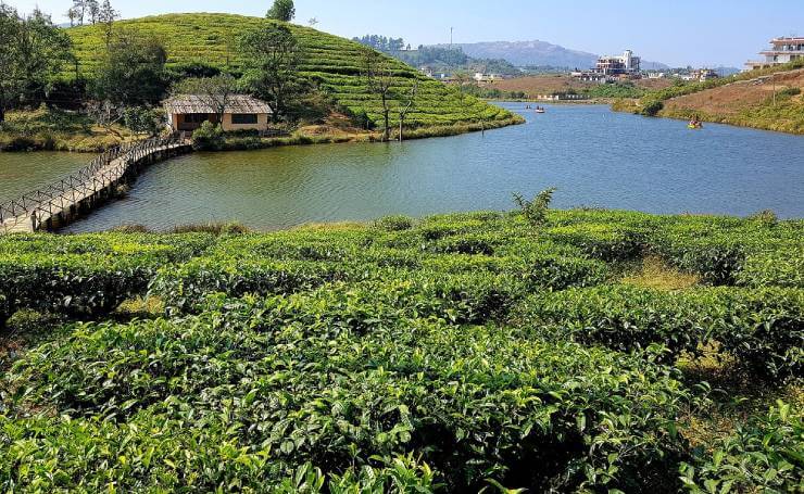 Mist and rain bear witness to the inauguration of India's longest  Cantilever bridge in Vagamon, vagamon travel destination, kerala, adventure  park, adventure tourism, glass bridge, travel spots