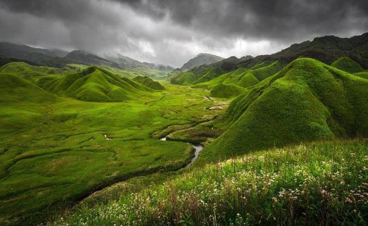 Nagaland Dzukou Valley