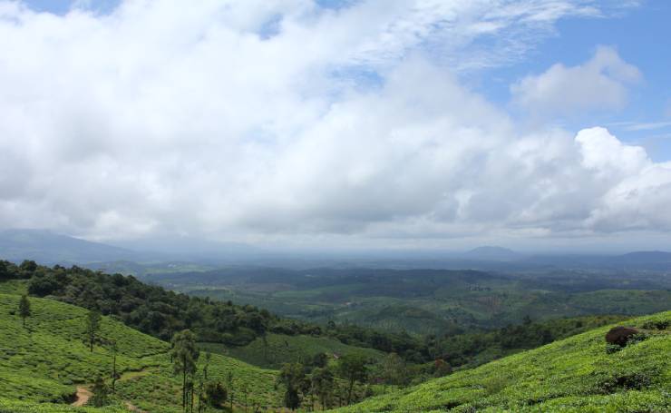 Lakkidi Wayanad Kerala