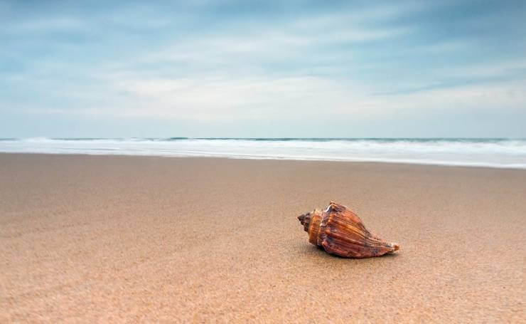 Bhitarkanika Beach Odisha