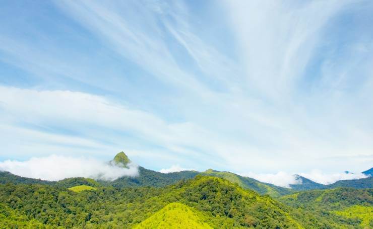 Silent Valley National Park