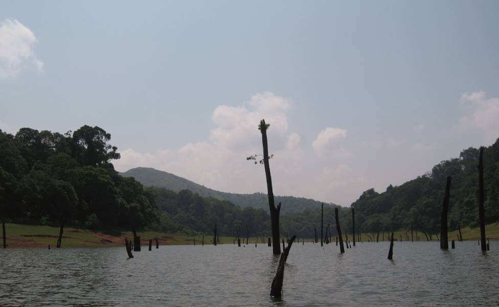 Periyar National Park Kerala
