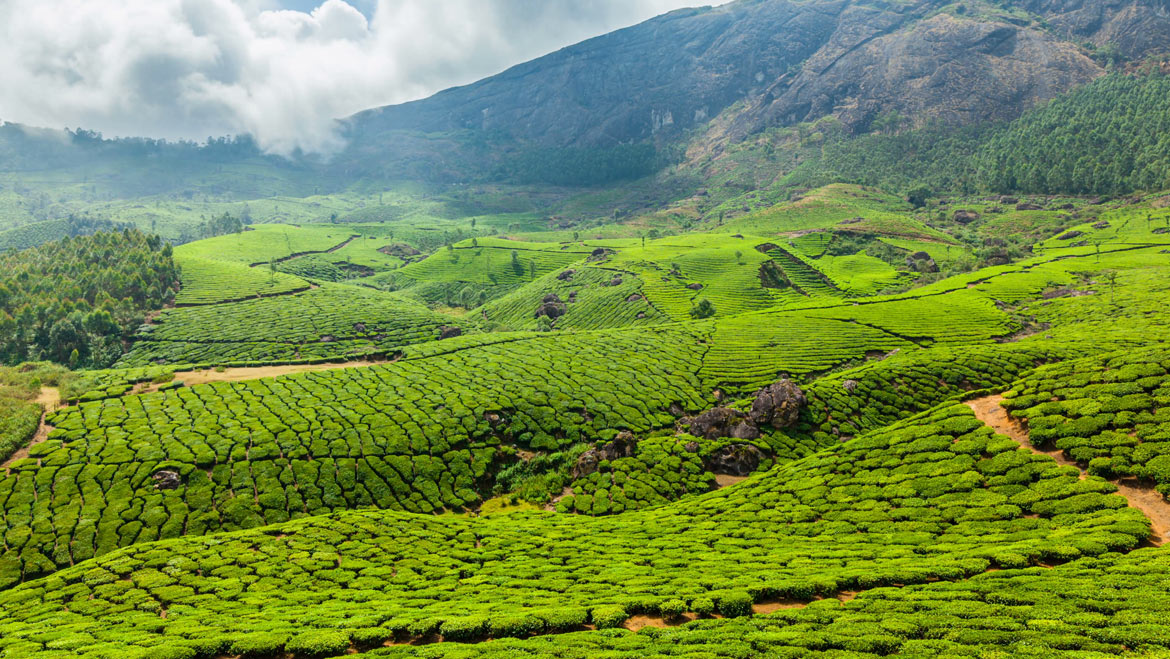 How to Plan a Perfect Holiday Trip to Kerala in India?