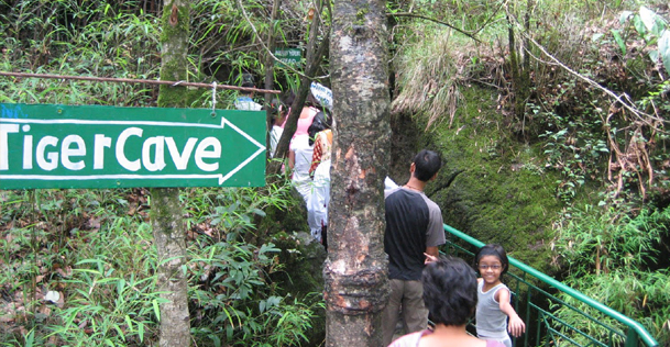 Eco-Cave-Gardens-Nainital