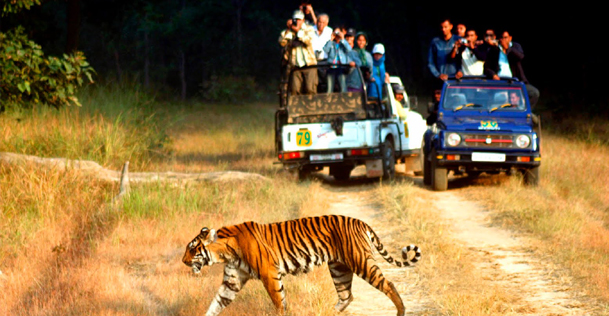 corbett-national-park