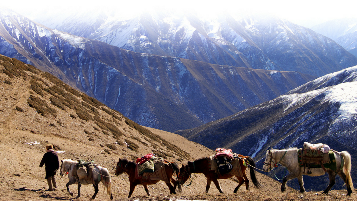 top-10-places-for-horse-riding-in-india-tour-my-india