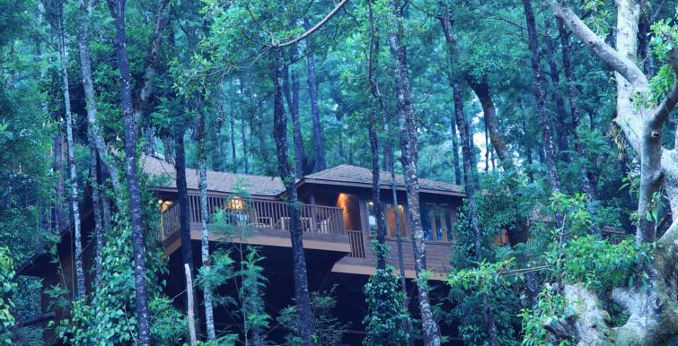 24 Best Resorts for Family Holidays in India: Tour My India