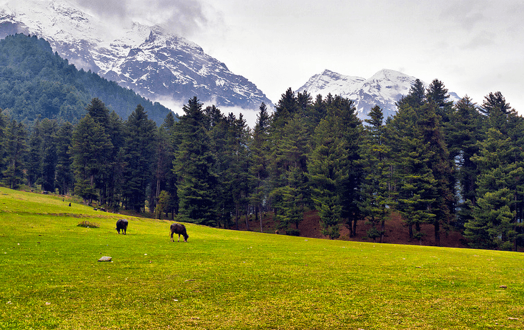 14 Top Places to Visit in Pahalgam, Kashmir: Tour My India