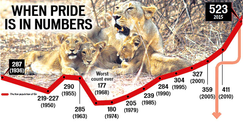 Asiatic Lion Population At Gir National Park 