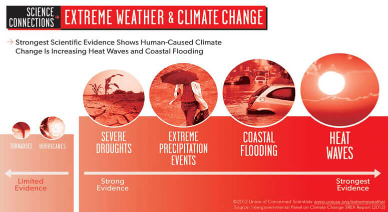 has-the-climate-change-taken-out-the-life-from-wildlife