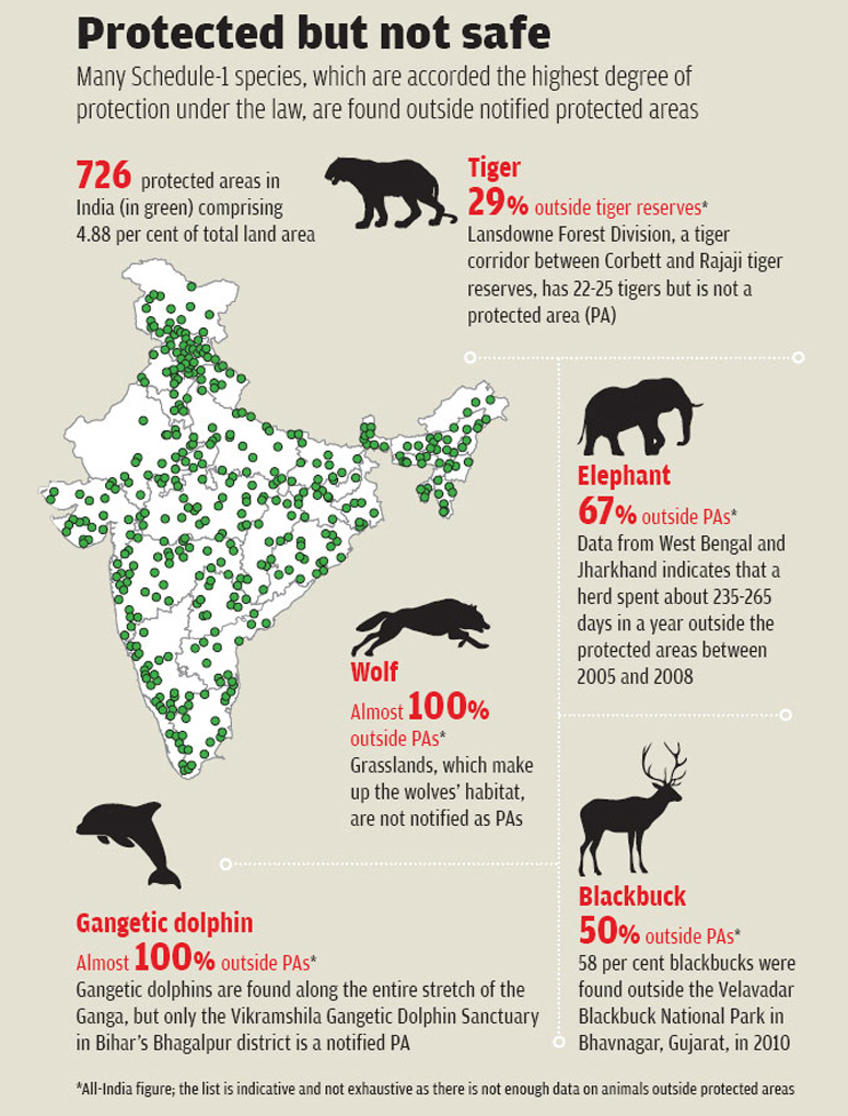 Indian Endangered Species With Their Names