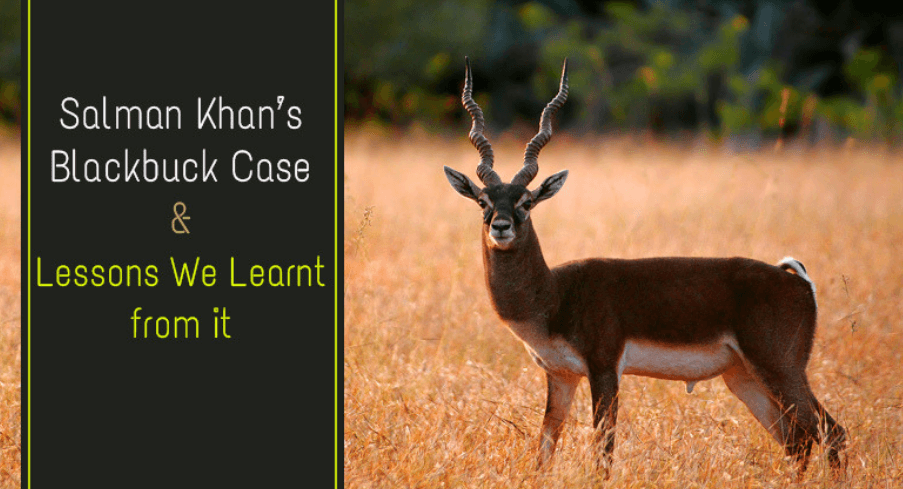 Salman Khan’s Blackbuck Case & The Lessons Which We Learnt From It