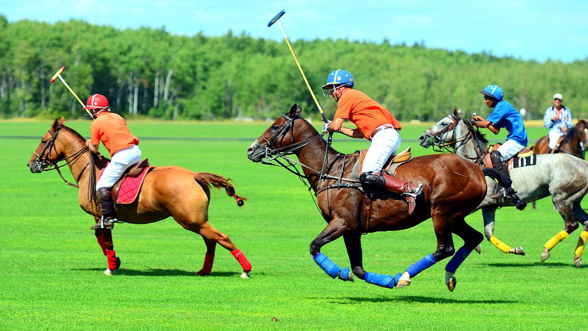 20-best-places-for-polo-players-in-india-polo-sports-tourism