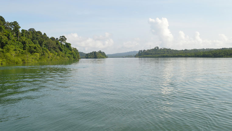 One Day Trip to Baratang Island, Andaman | Travel Experience