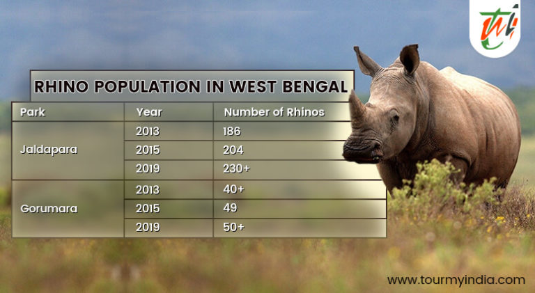 North Bengal Shows the Way as Rhino Population Increases by 12%