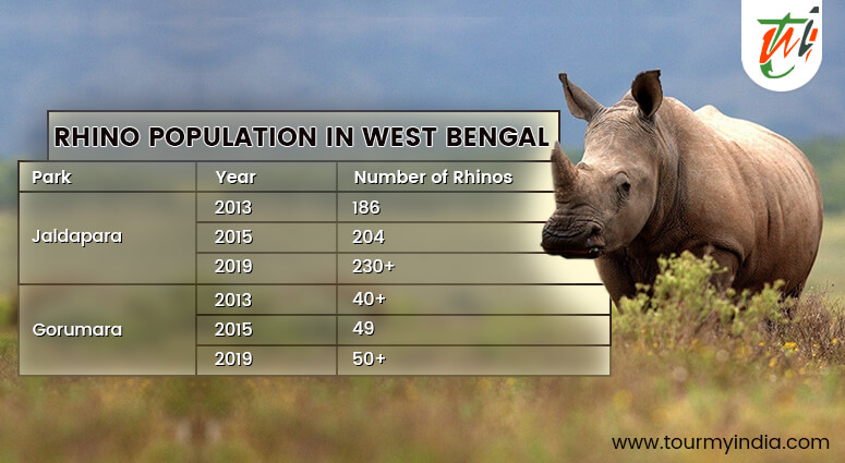 North Bengal Shows the Way as Rhino Population Increases by 12%