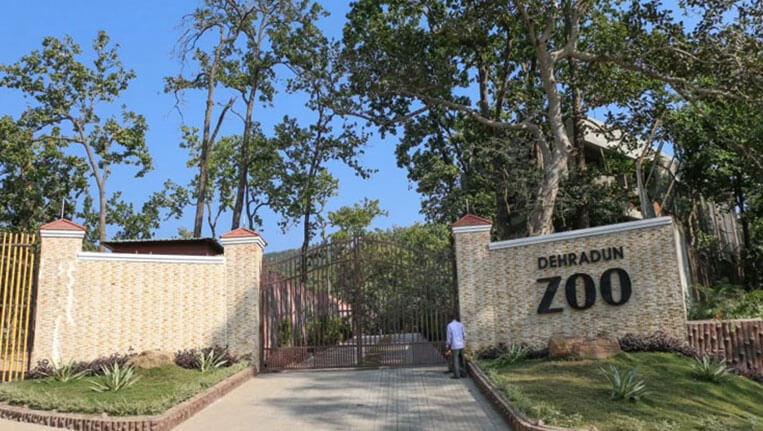 Snake Park Opens at Dehradun Zoo | Know about Visiting Time & Entry Fee