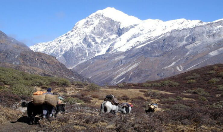 10 Best Trekking Expeditions In Sikkim 