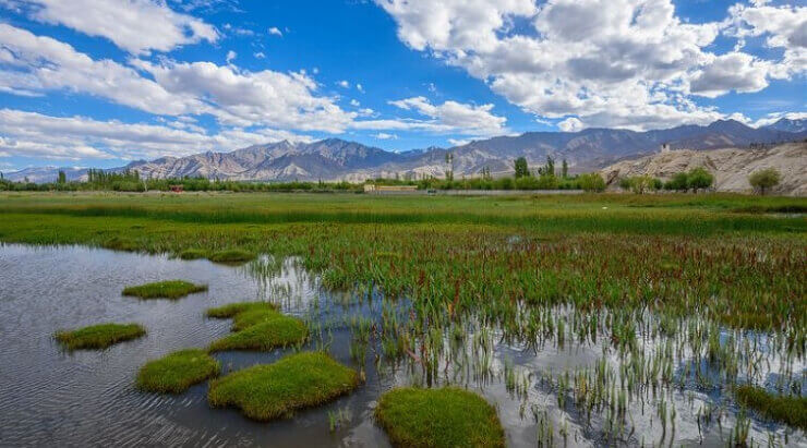 9 Popular Short Treks in Leh Ladakh | Short Trails Ladakh