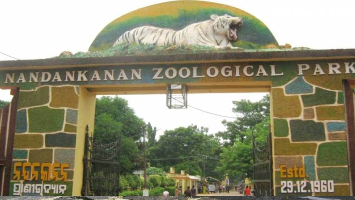 Nandankanan Zoological Park Reopens in Odisha | Nandankanan Zoo