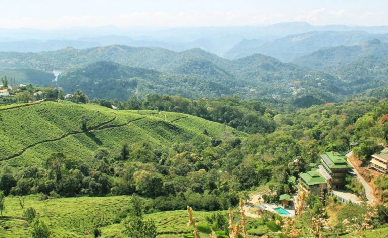 15 Best Places To Visit In Munnar, Kerala 