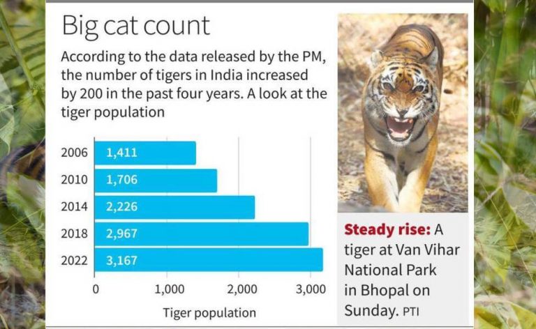 Tiger Population In India Grows To 3167 According To Latest Census Tmi