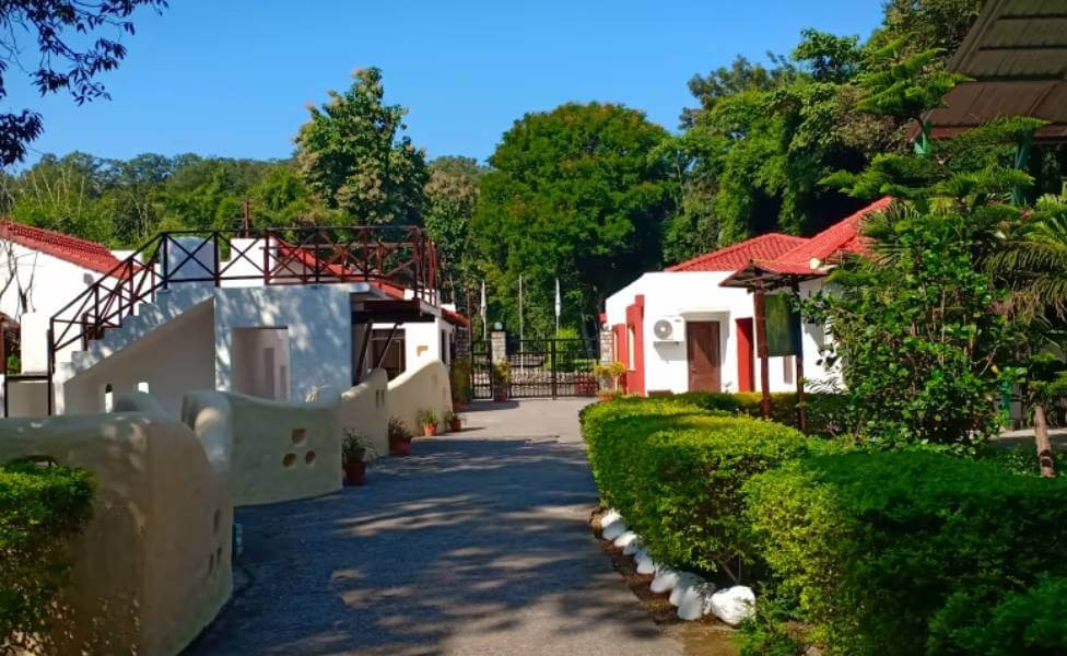 20 Best Hotels & Resorts in Jim Corbett National Park | Tour My India