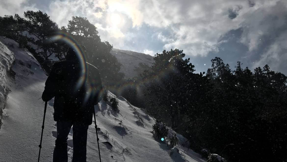 kullu manali trip from mumbai